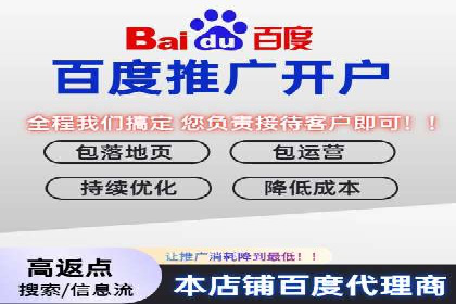 百度推广在电商行业的应用及效果